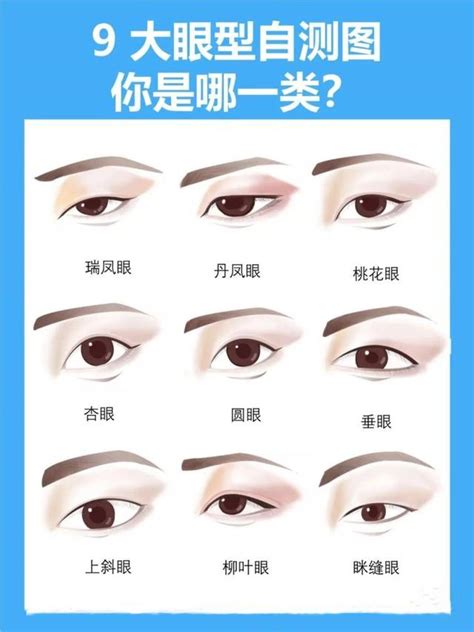 鳳眼特徵|眼型:眼型，即眼睛的類型、分類，主要有桃花眼，瑞。